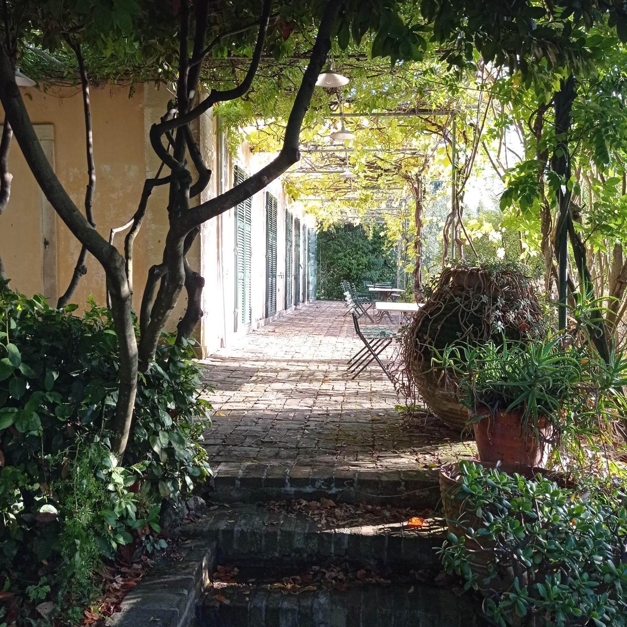 Villa Kefalomandouko Alepou エクステリア 写真