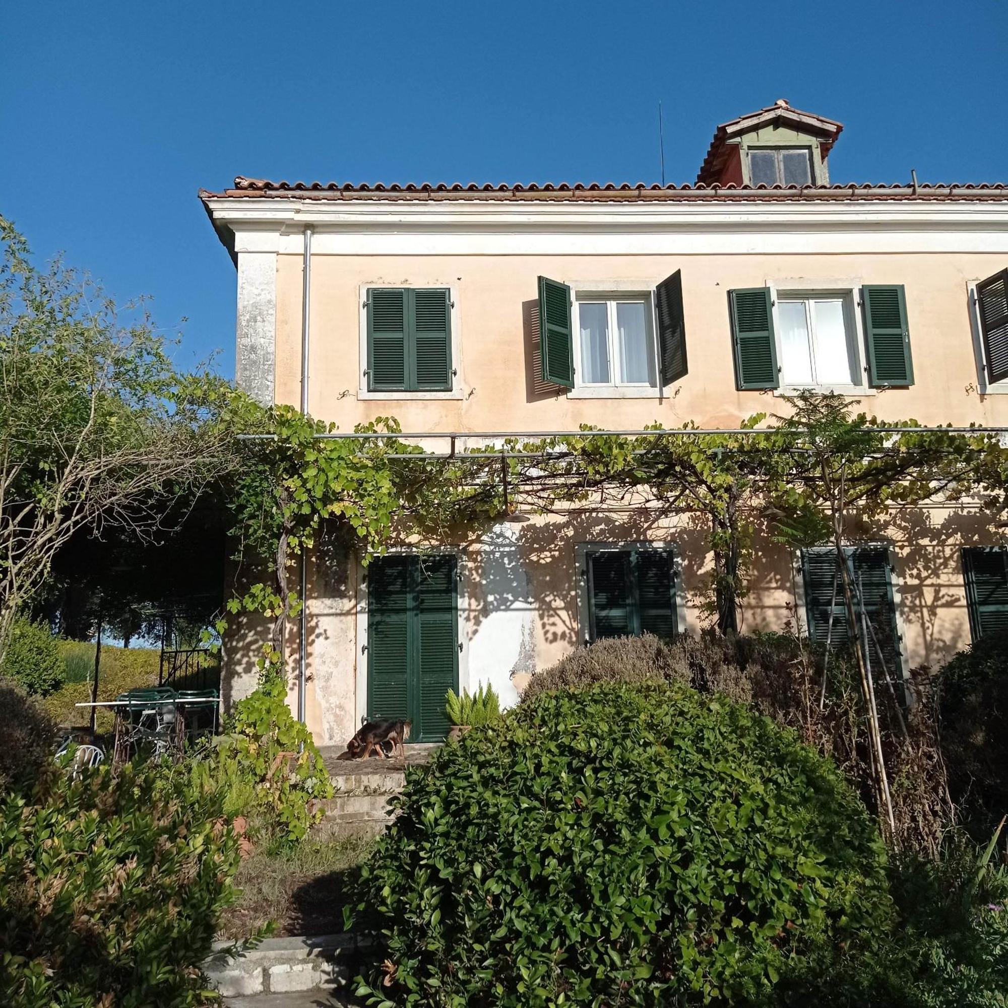 Villa Kefalomandouko Alepou エクステリア 写真